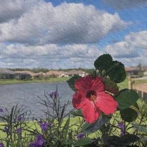 Meet your Posher, Edwin